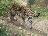 20100206 532.JPG
